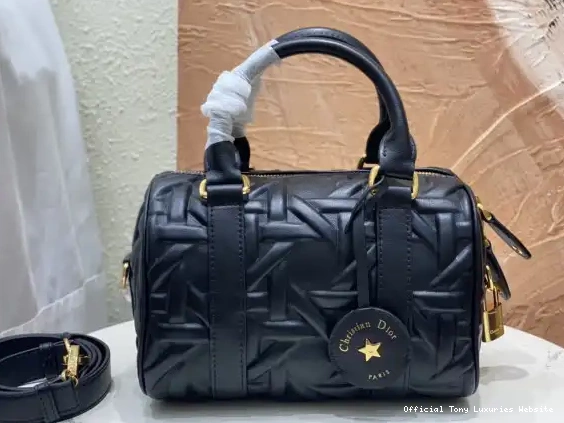 Tony Luxuries bag 25 Di0r Groove 0630